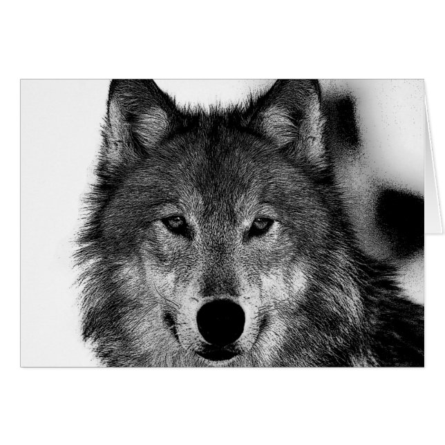 Pintura de Lobo Blanco y Negro (Anverso (Horizontal))