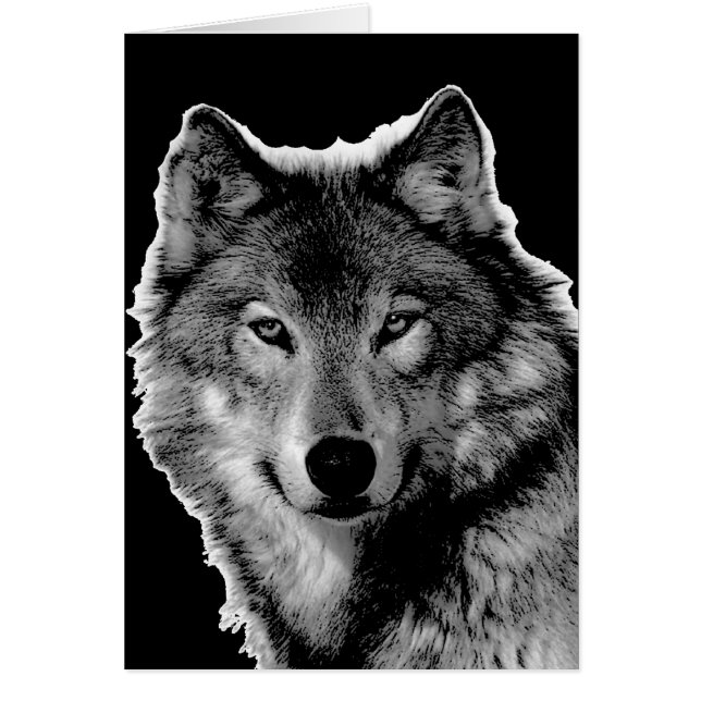 Pintura de Lobo Blanco y Negro (Frente)