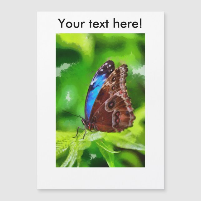 Pintura de mariposa (Anverso)