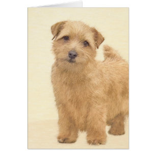 Pintura de Norfolk Terrier - Arte original del per