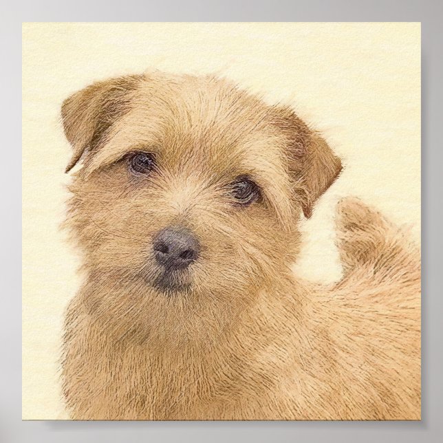 Pintura de Norfolk Terrier - Arte Perro Original (Frente)
