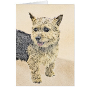 Pintura de Norwich Terrier - Arte de Perro Origina