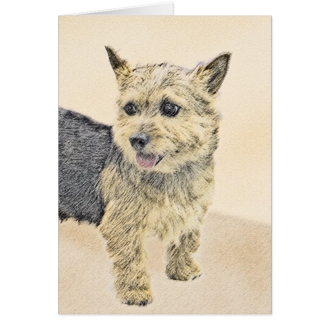 Pintura de Norwich Terrier - Arte de Perro Origina (Frente)