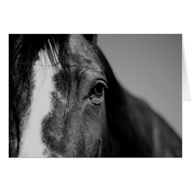 Pintura de ojos de caballo blanco negro (Anverso (Horizontal))