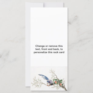 Pintura de pájaro china