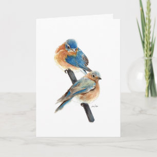 Pintura de pareja de pájaros azules Feliz Cumpleañ