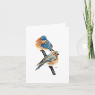 Pintura de pareja de pájaros azules Feliz Cumpleañ