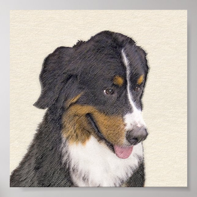 Pintura de perro de montaña de Bernese - Arte de p (Frente)