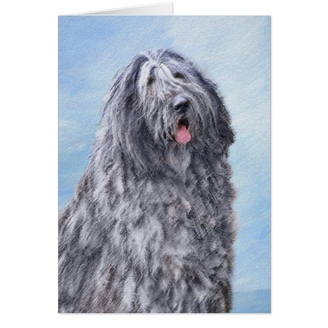 Pintura de perro pastor de Bergamasco - Perro orig (Frente)