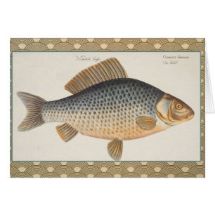 pintura de pesca de carpa dibujo de agua dulce