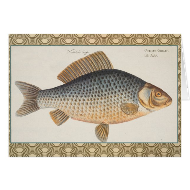 pintura de pesca de carpa dibujo de agua dulce  (Anverso (Horizontal))
