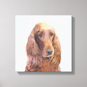 Pintura de Setter Irlandés - Arte de Perro Origina