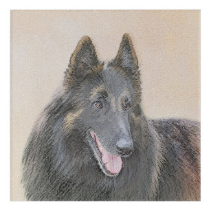Pintura de Tervuren belga - Arte de perro original