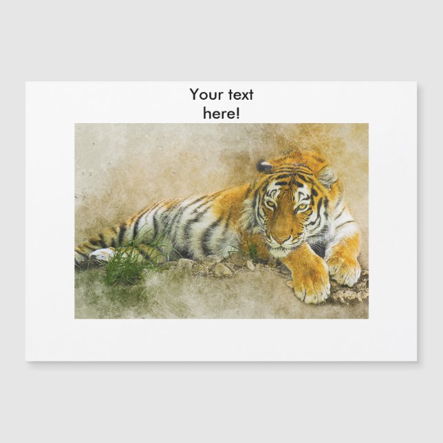 Pintura de tigre (Anverso)