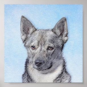 Pintura de Vallhund Sueca - Arte Perro Original Cu