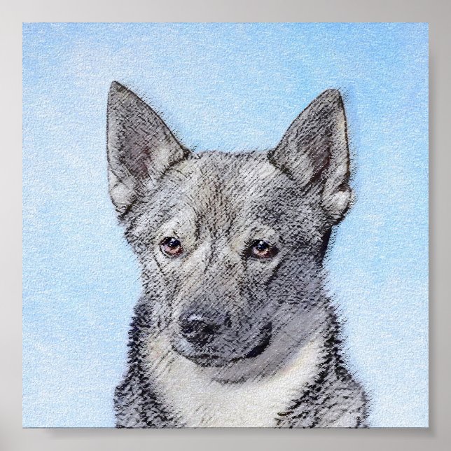 Pintura de Vallhund Sueca - Arte Perro Original Cu (Frente)