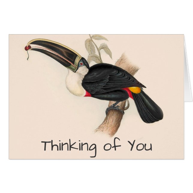 Pintura de vida silvestre de aves antiguas de Touc (Anverso (Horizontal))