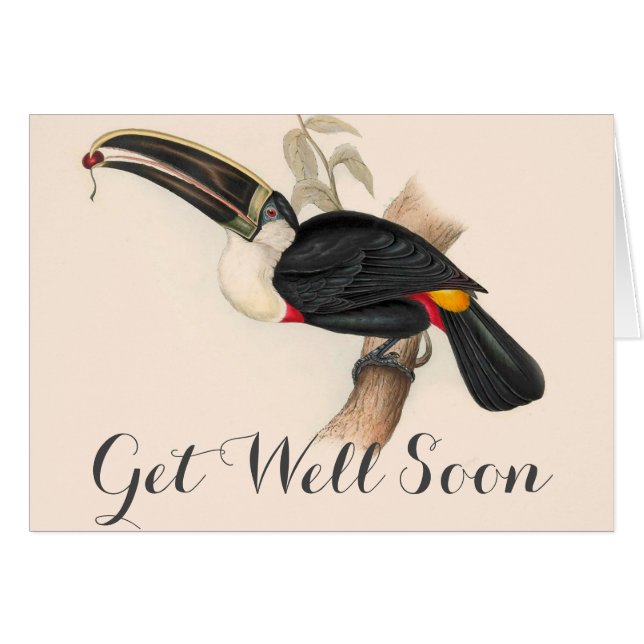 Pintura de vida silvestre de aves antiguas de Touc (Anverso (Horizontal))