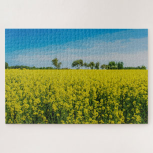 Pintura del rompecabezas del campo de las flores a