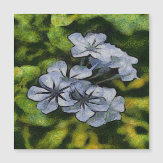 Pintura Delicada Blue Plumbago Blossom