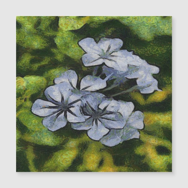 Pintura Delicada Blue Plumbago Blossom (Anverso)