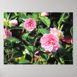 Pintura digital de arte en pared de camellias rosa