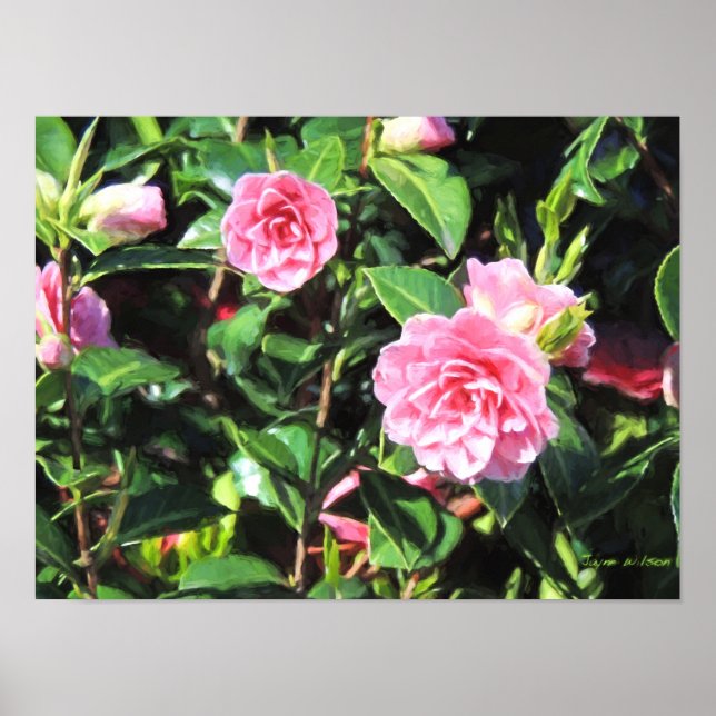 Pintura digital de arte en pared de camellias rosa (Frente)