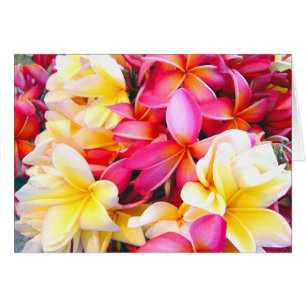 Pintura digital de fotos florales en Plumeria Fran