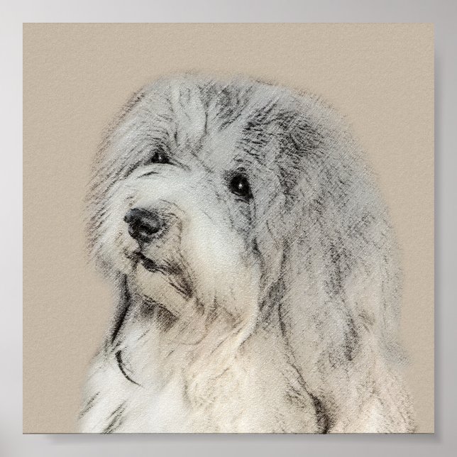 Pintura Havanesa (Dorada Sable) - Arte Perro Origi (Frente)