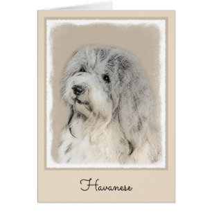Pintura Havanesa (Dorada Sable) - Arte Perro Origi
