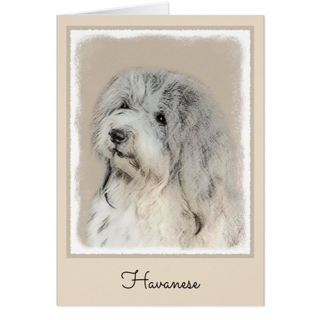Pintura Havanesa (Dorada Sable) - Arte Perro Origi (Frente)