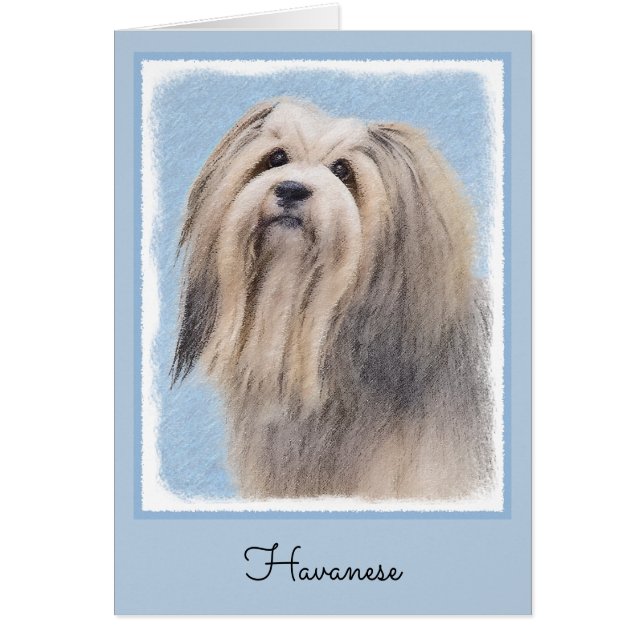 Pintura Havanesa (plateada) - Arte de Perro Origin (Frente)