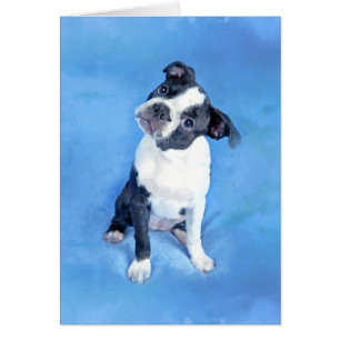 Pintura linda del perrito de Boston Terrier