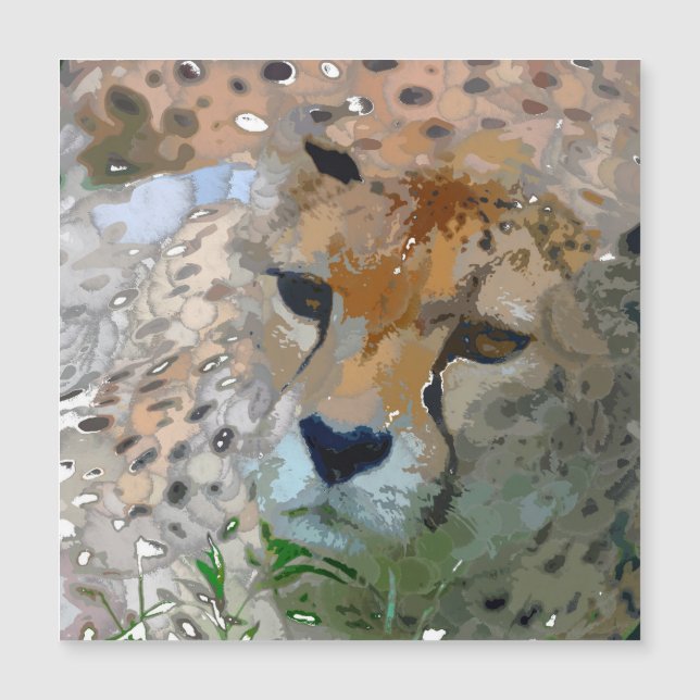 Pintura Loca - Cheetah (Anverso)