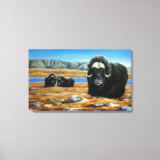 Pintura Muskox Impresión de lienzo de vida silvest