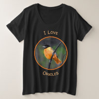 Pintura Oriole - Arte original de aves