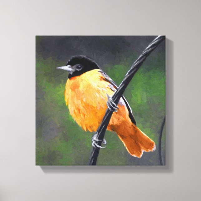 Pintura Oriole - Arte original de aves (Anverso)