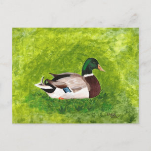 Pintura personalizado de postales de pato mallard