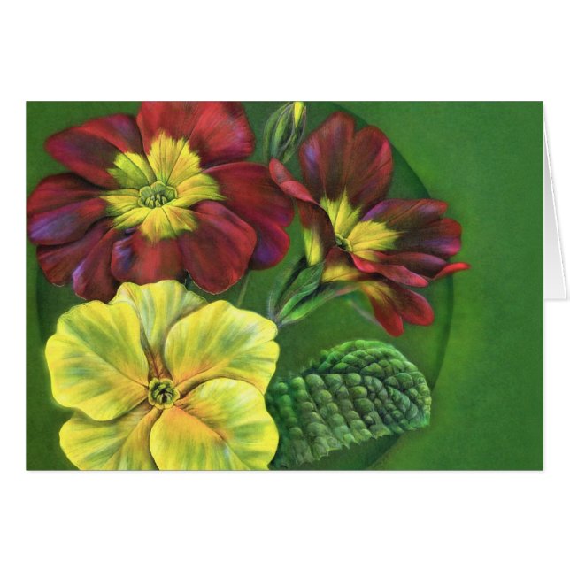 Pintura primula primrose (Anverso (Horizontal))