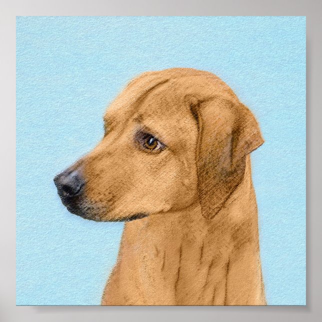 Pintura Ridgeback Rhodesiana - Arte Perro Original (Frente)