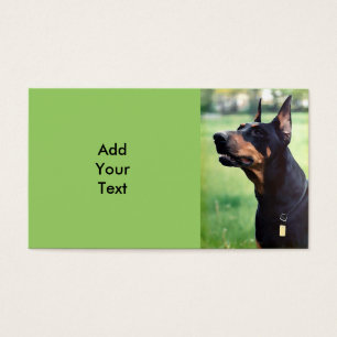 Pintura soñadora de la cara del Pinscher del