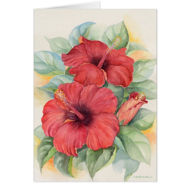 Pintura tropical de la flor del hibisco rojo - (Frente)