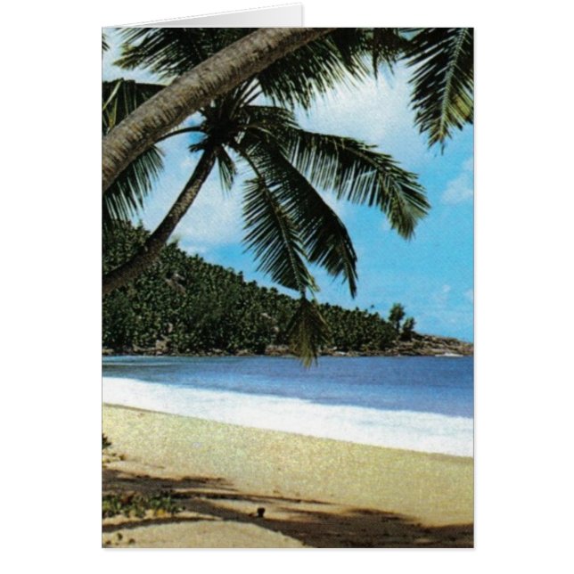 Pintura tropical de playa (Frente)