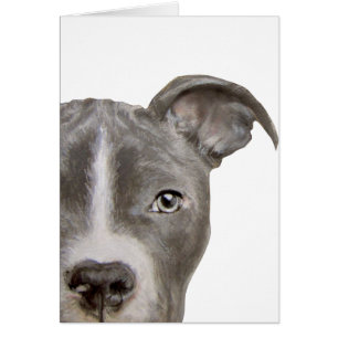 Pintura y diseño originales del pitbull por el