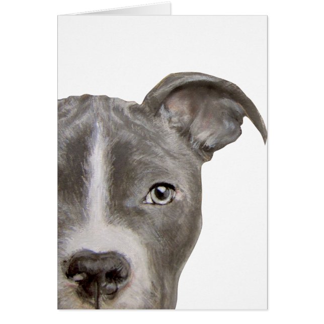 Pintura y diseño originales del pitbull por el (Frente)