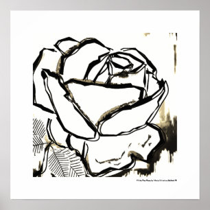Pinturas de arte Poster moderno en la Rosa Blanca