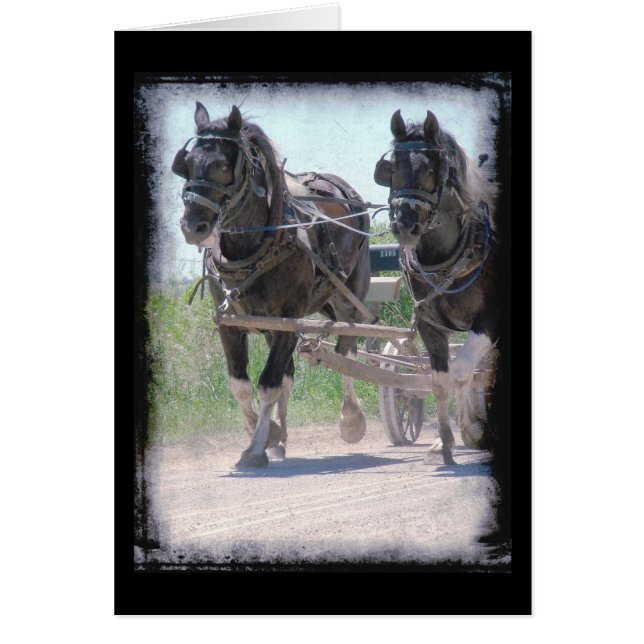 Pinturas de trabajo (Frente)