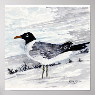 pinturas e impresiones de gaviotas en la playa