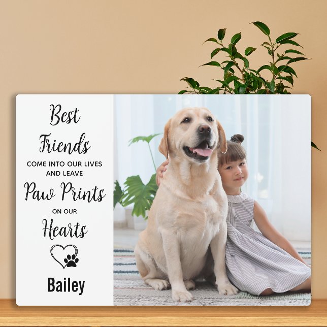Pinturas en nuestra placa en memoria de perros Mas (Subido por el creador)