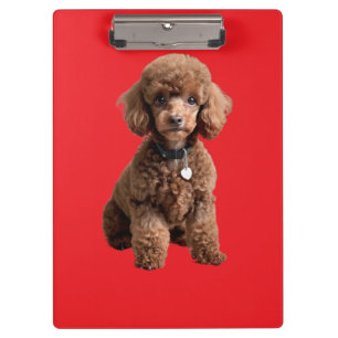 Pinza Cute carpeta de té Poodle roja